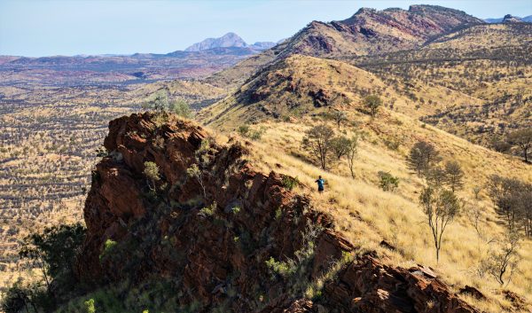 65km Standley Monster